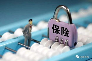 新到五千萬保險(xiǎn)經(jīng)紀(jì)牌照轉(zhuǎn)讓，含網(wǎng)絡(luò)銷售資質(zhì)