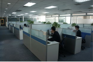 看準網 保險經紀行業的職業導航與擇業指南