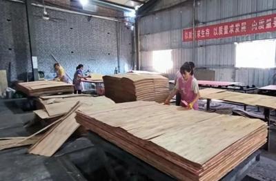 山東菏澤牡丹區(qū)政協(xié)主席葛廣亮調(diào)研木材加工發(fā)展情況